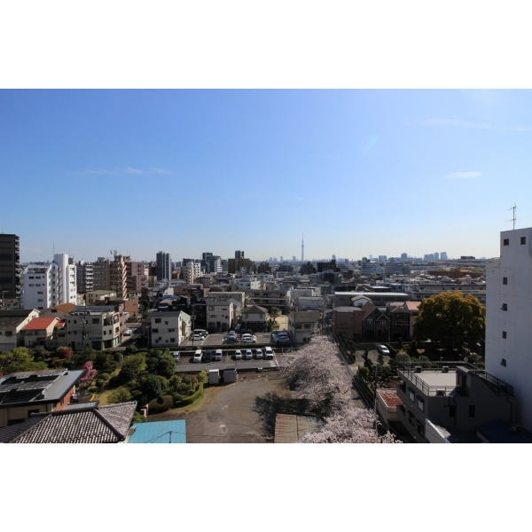 サンクタス綾瀬ラクススクエア その他画像