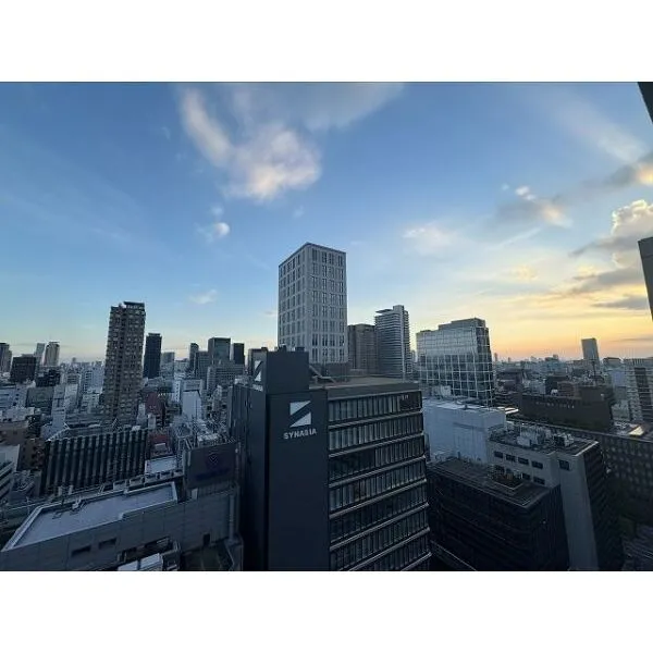 クレヴィアタワー御堂筋本町 その他画像