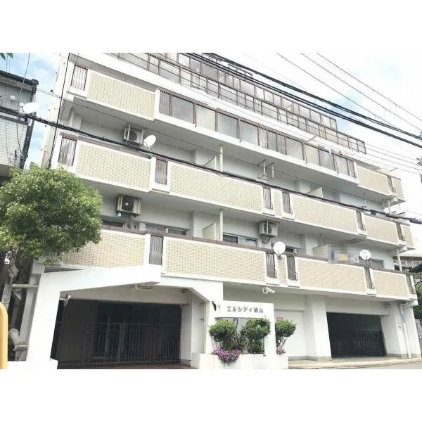 エルシティ桃山 外観