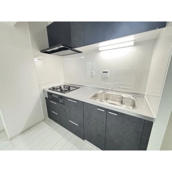 エルシティ桃山 その他画像