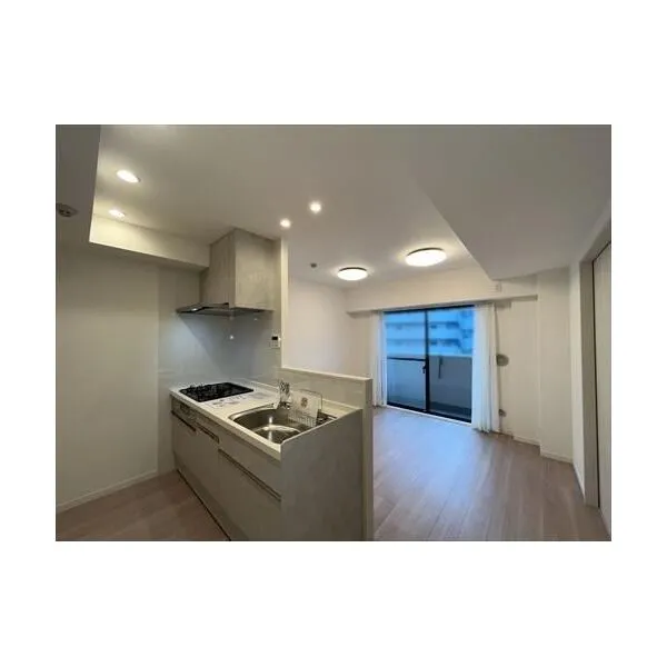 ライオンズマンション川口栄町 ＬＤ約１０．２帖