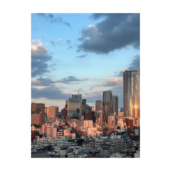 オープンレジデンシア南青山骨董通り その他画像