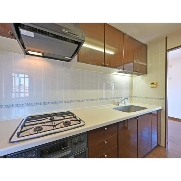 ダイアパレス瑞穂 その他画像