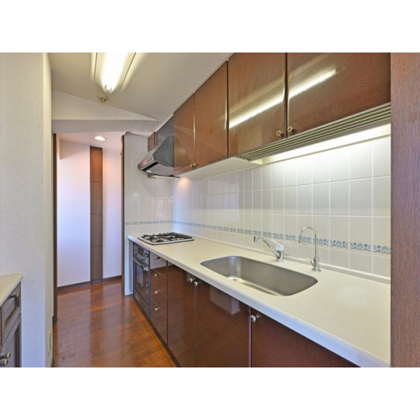 ダイアパレス瑞穂 その他画像