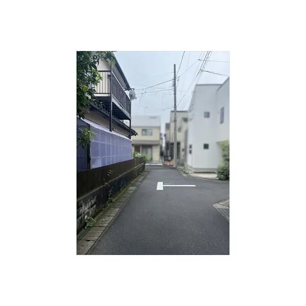海老名市東柏ケ谷５丁目 西側道路