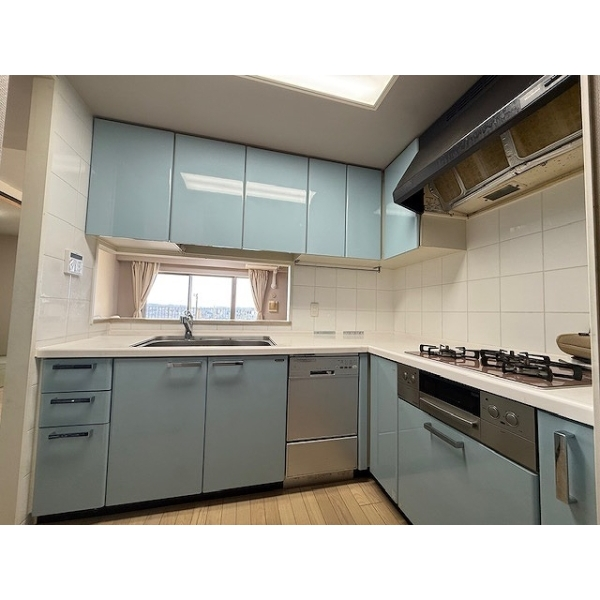 レガリア その他画像