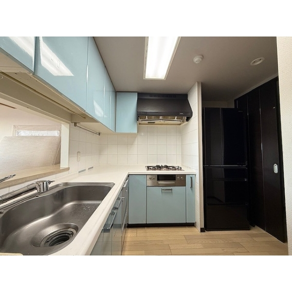 レガリア その他画像