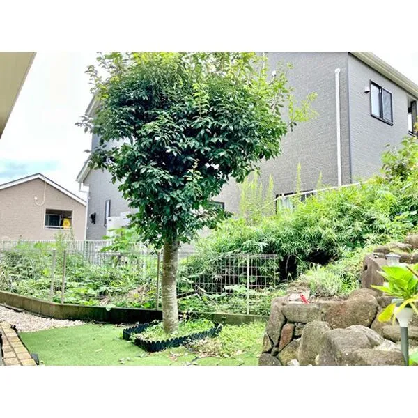 鎌倉市城廻 広々とした南庭はガーデニングなど多彩に活用できます