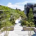 ザ・パークハウス石神井公園テラス 中庭【FLOW GARDEN】
