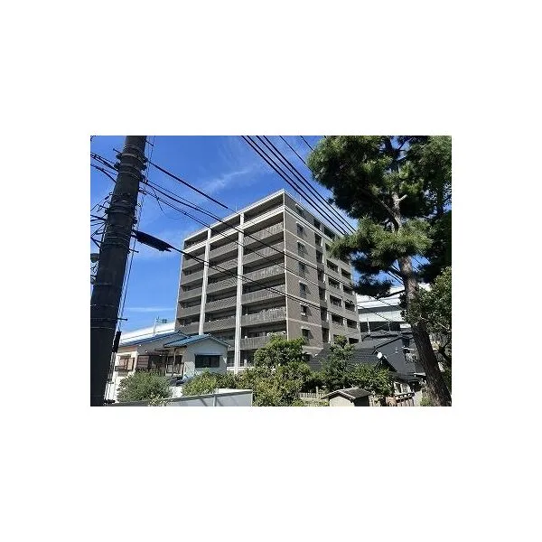 ワコーレ住吉川シーズンズ 南東側から撮影したマンションの外観写真です。