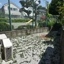 調布市深大寺東町８丁目 庭