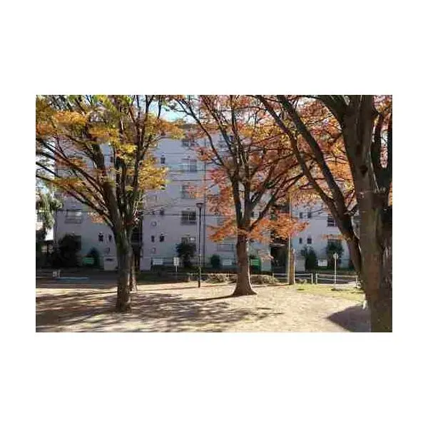 松戸市緑ケ丘2丁目 その他画像