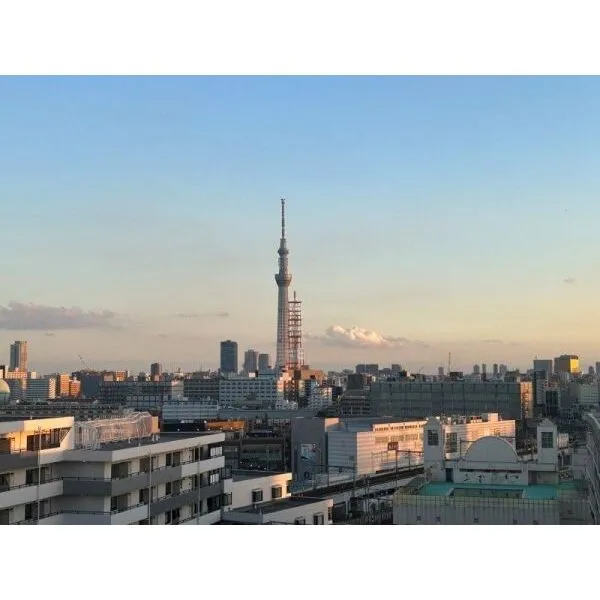 ダイナシティ東京リバーゲートセレッソタワー その他画像