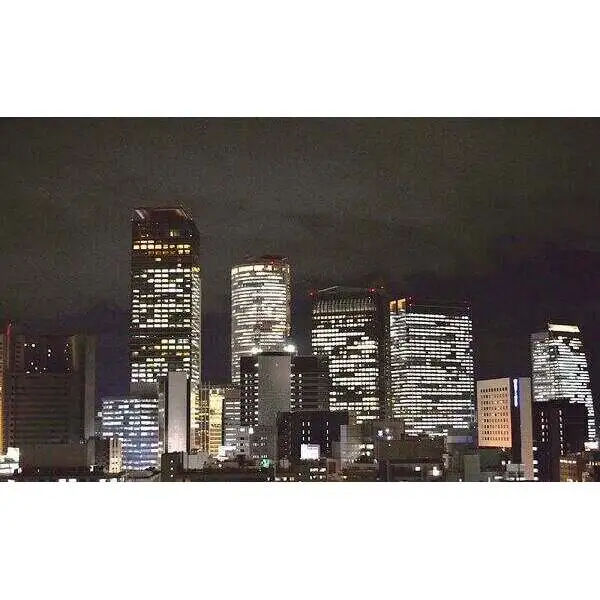 ザ・パークハウス名古屋伏見 その他画像