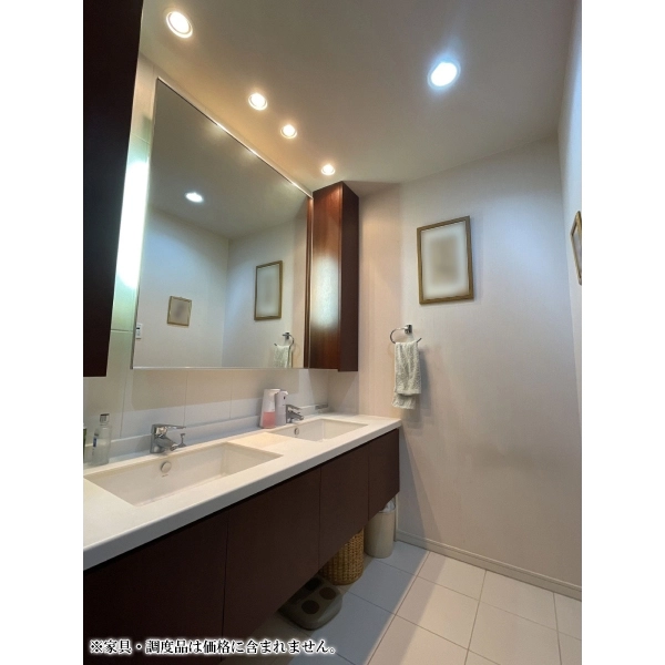 クオス横濱山手 洗面室