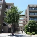 アンジュの丘横濱常盤台 緑豊かな住環境。