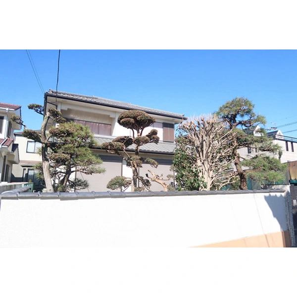 松戸市三矢小台５丁目 外観