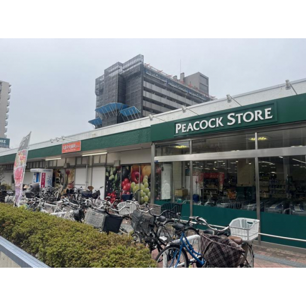 イーストパークスセントラルスクエア その他画像