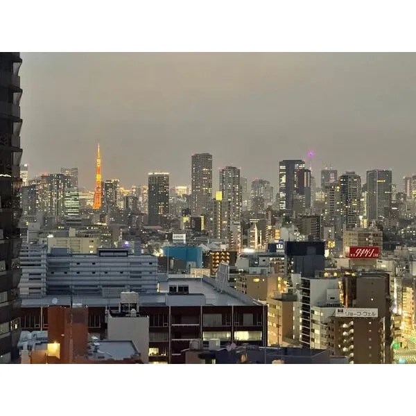 ライオンズタワー五反田 東京タワーを望む眺望