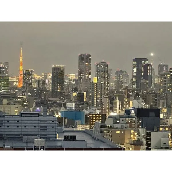 ライオンズタワー五反田 東京タワーを望む眺望