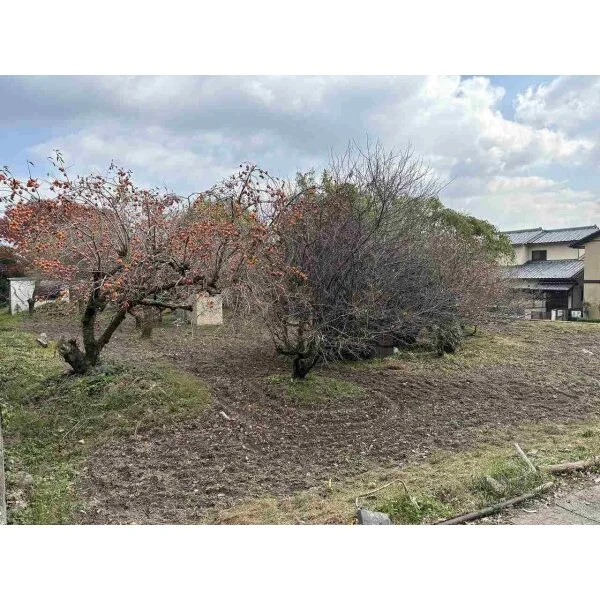 京都市伏見区桃山紅雪町 その他画像