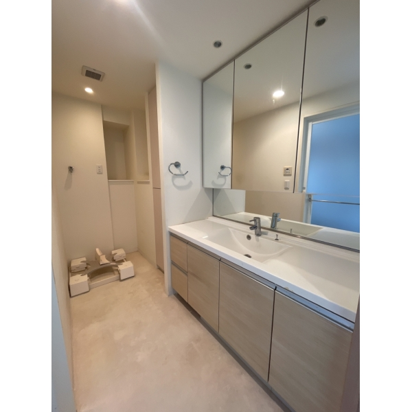 アクシア八王子ピュアマークス 洗面室