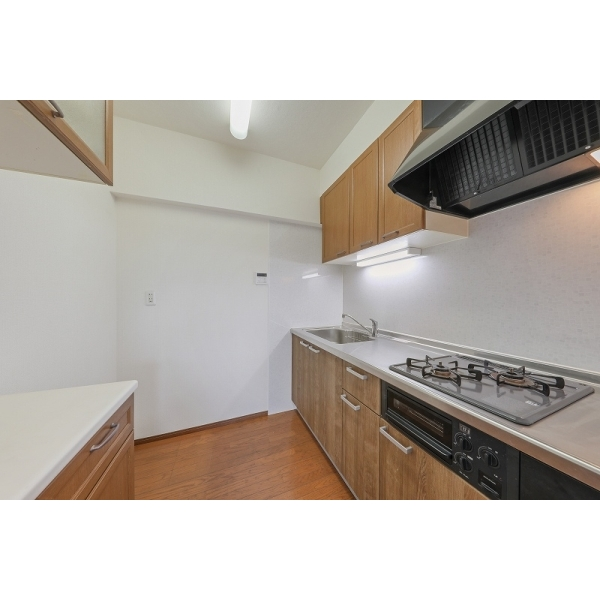 町屋ビューハイツ その他画像