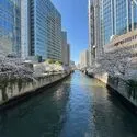 オーバルコート大崎住宅棟　ザ・パークタワー東京サ… 目黒川まで約７０ｍ　２０２６年４月撮影