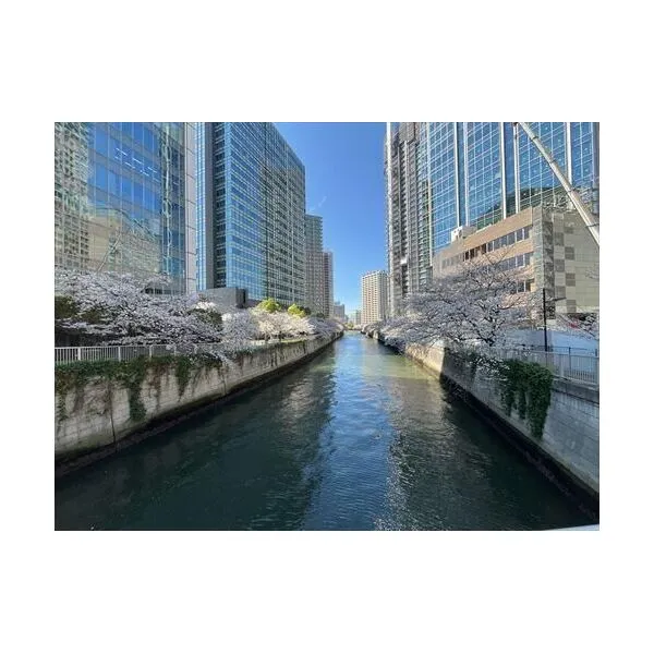 オーバルコート大崎住宅棟 ザ・パークタワー東京サ… 目黒川まで約70m 2026年4月撮影