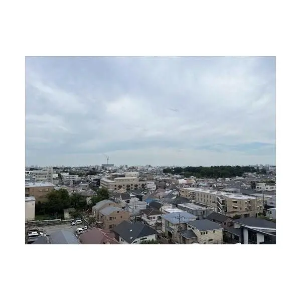 ブランズ・ジオ等々力 その他画像