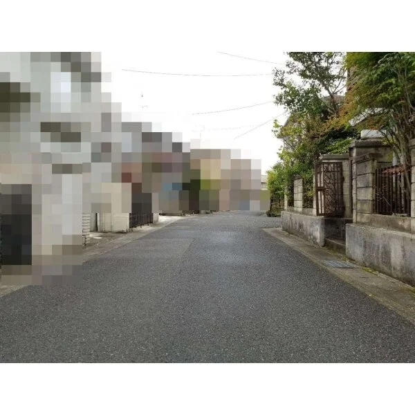 京都市右京区嵯峨新宮町 その他画像