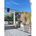 パレ乃木坂 乃木神社まで約８０ｍ