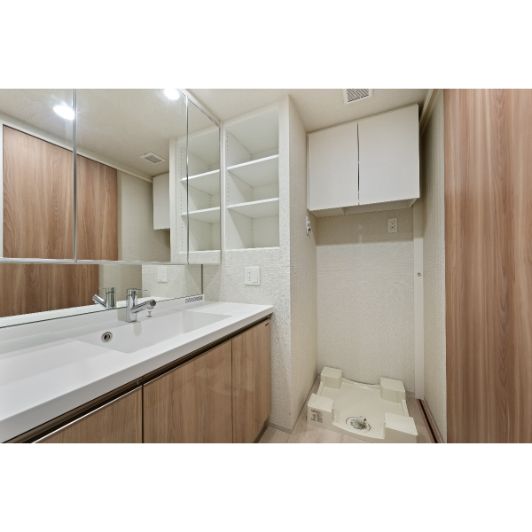 シティテラス多摩川Ｄ棟 洗面室