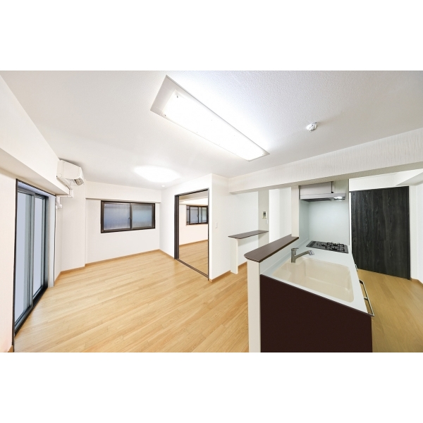 ライオンズマンション阪東橋 その他画像