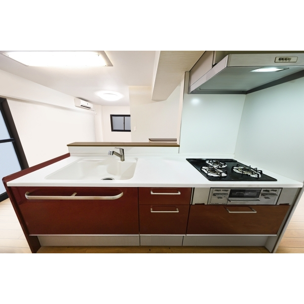 ライオンズマンション阪東橋 その他画像