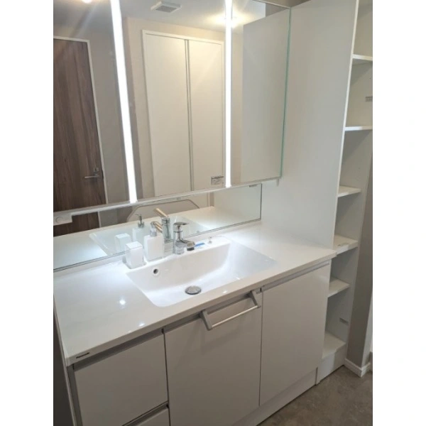 ラヴィドール杉並上井草 洗面室