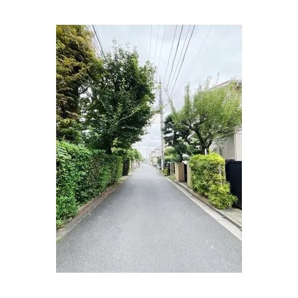 武蔵野市中町３丁目 前面道路
