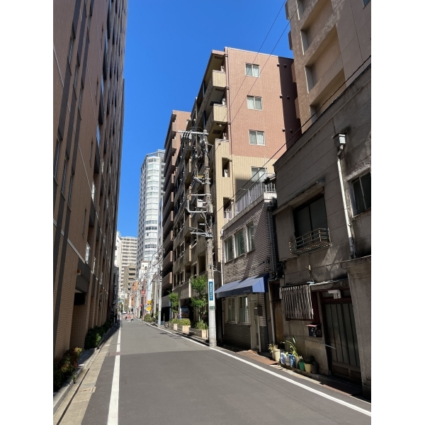 パレステュディオ銀座二丁目 前面道路