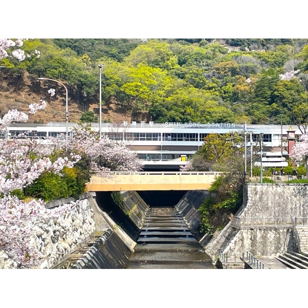 ワコーレ新神戸カデンツァ 新神戸駅(駅)まで約250m(徒歩4分)