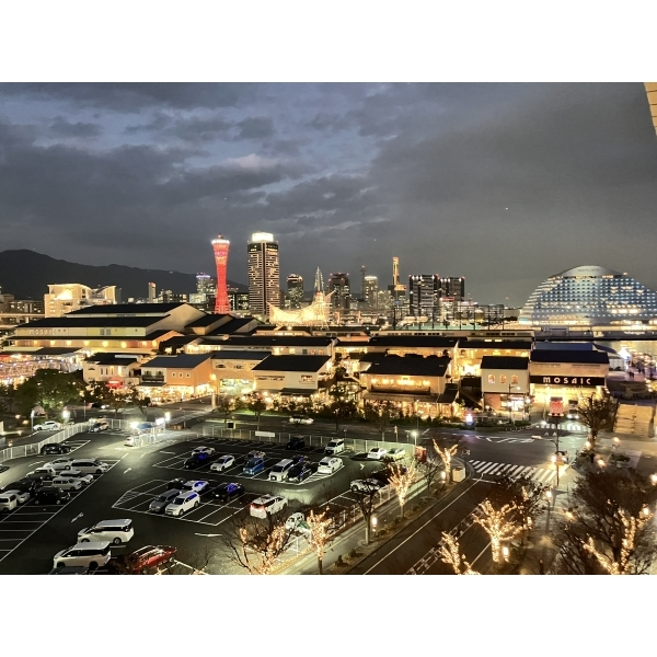 ザ・ライオンズ神戸ハーバーランド その他画像