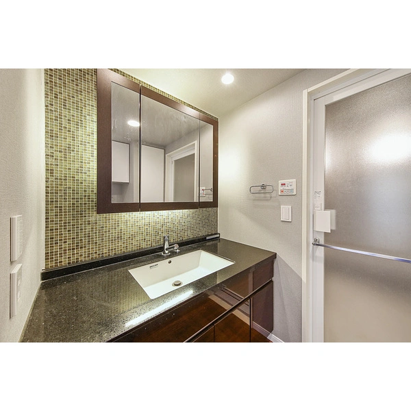 BELISTAタワー東戸塚 洗面室