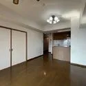 ダイアパレス小岩 約10帖のリビング