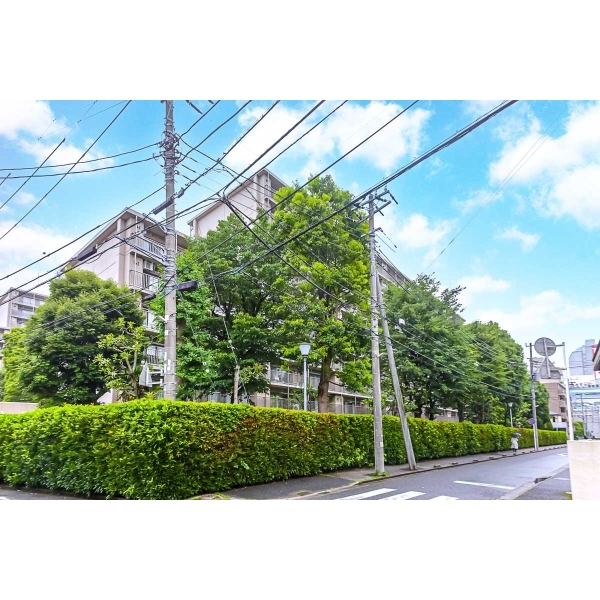 津田沼アカシアハイツ壱号棟 外観
