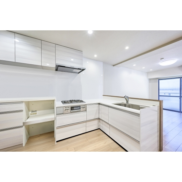 ナイスアーバン池袋山手通り その他画像