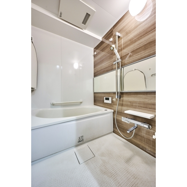 ナイスアーバン池袋山手通り その他画像