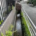 稲城市押立 前面水路