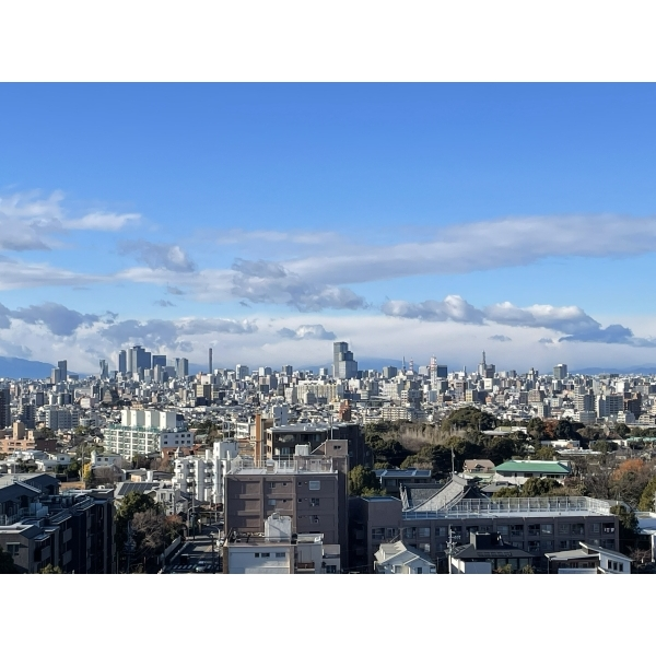 藤和八事緑ヶ岡ホームズ その他画像