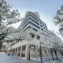 アーバンドックパークシティ豊洲コートＣ 敷地内は春に桜が咲き、心地よい空間です。