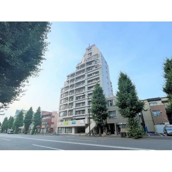 南阿佐谷ハイツ その他画像