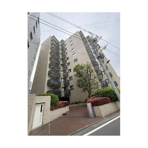 南青山パーク・マンション その他画像